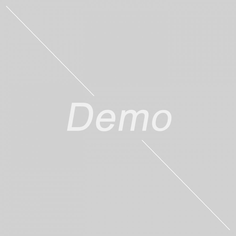 demo-img.jpg