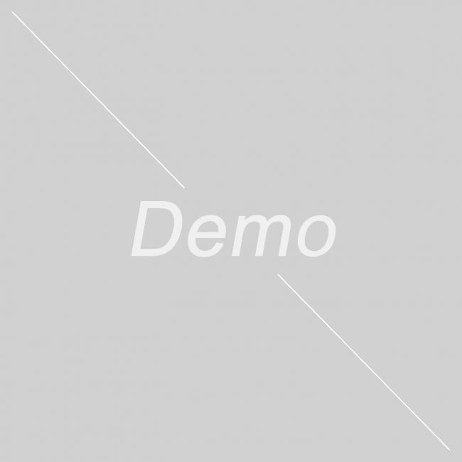 demo-img.jpg